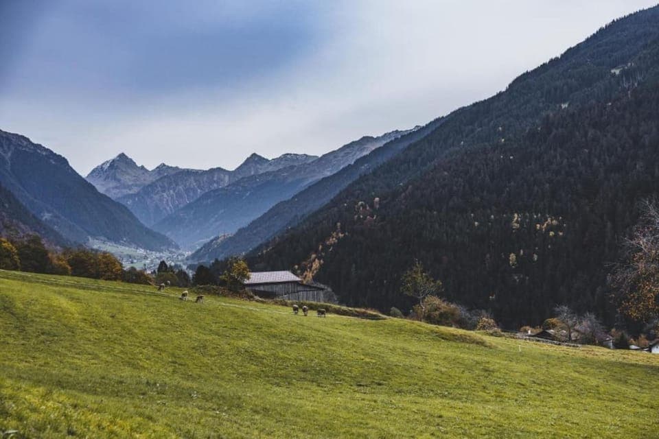 Region [summer] (>5 km)