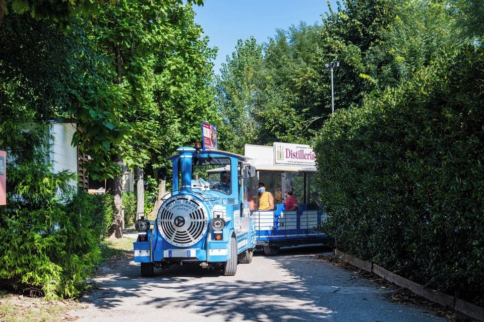 Children's activities