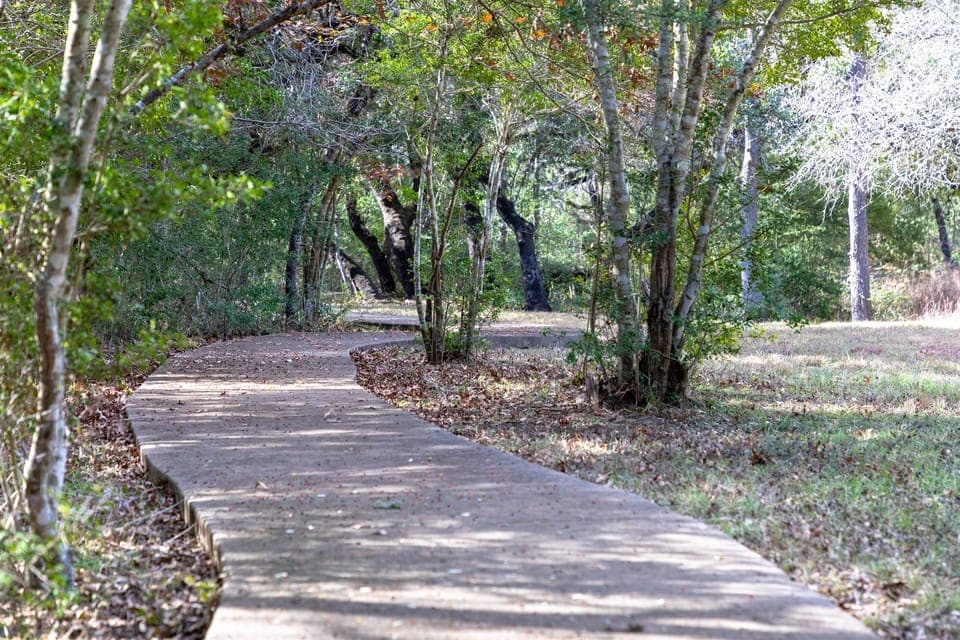 Enchanting pathway inviting a peaceful walk in nature.