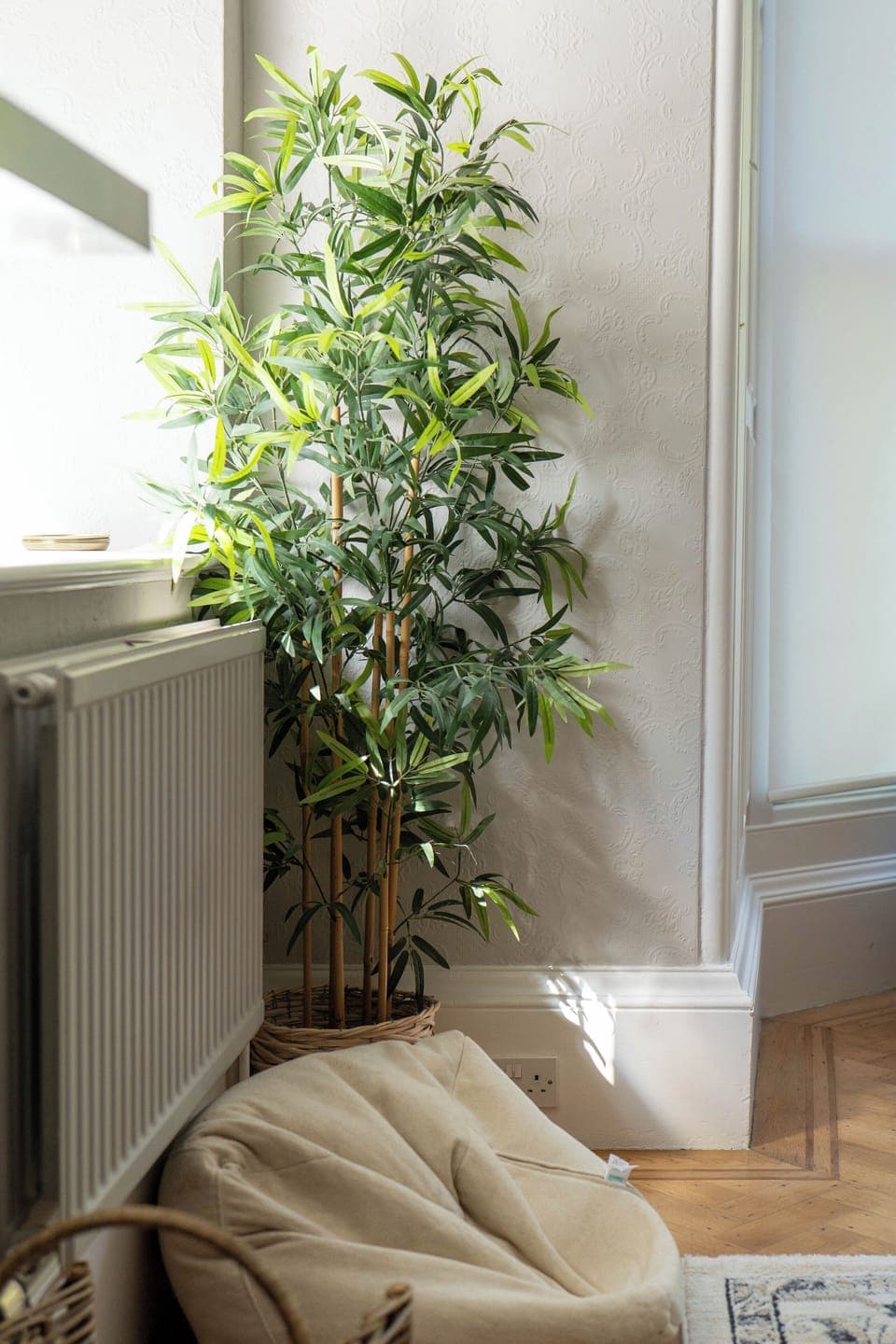 13 Racecourse Road - LR-22