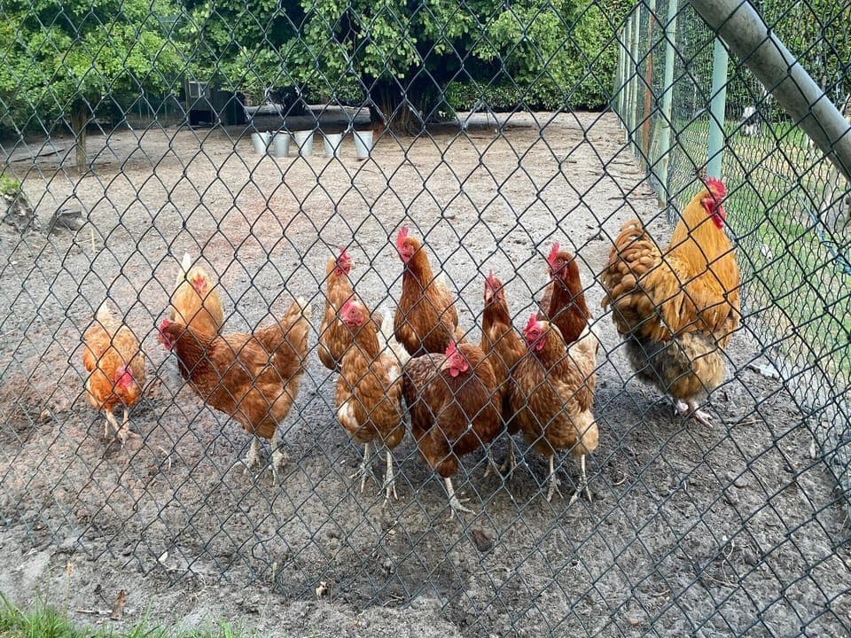 Holiday Home Facilities and Services