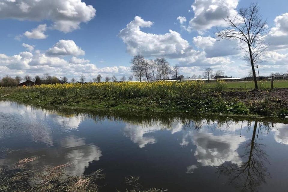 Surroundings [summer] (1-5 km)