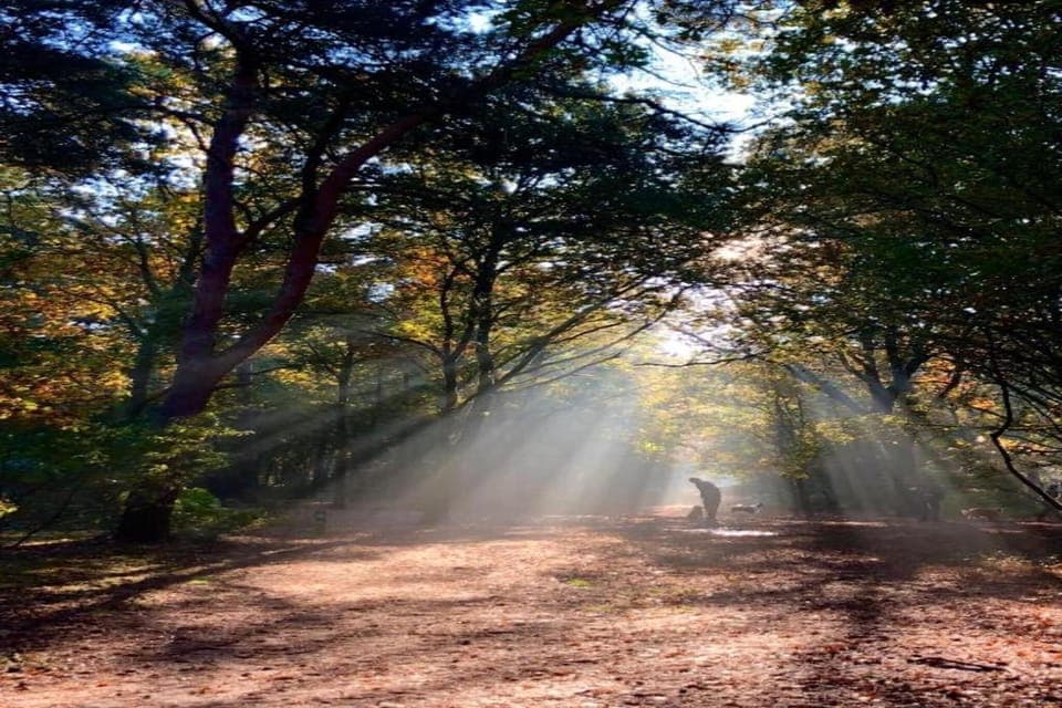 Surroundings [summer] (1-5 km)