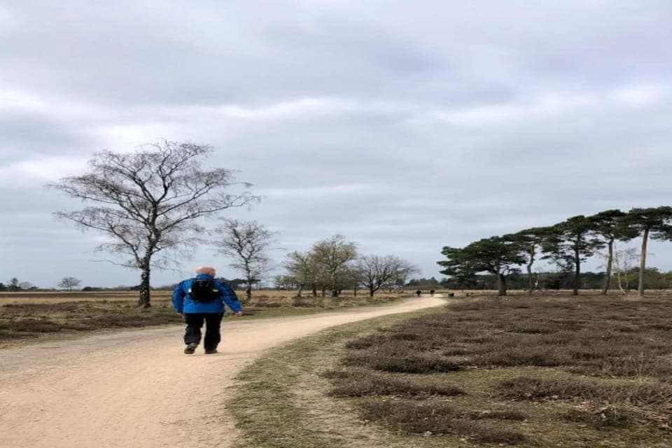 Surroundings [summer] (1-5 km)