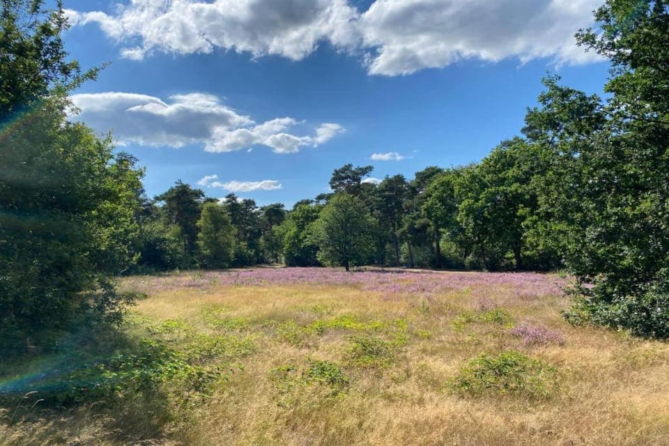 Surroundings [summer] (1-5 km)