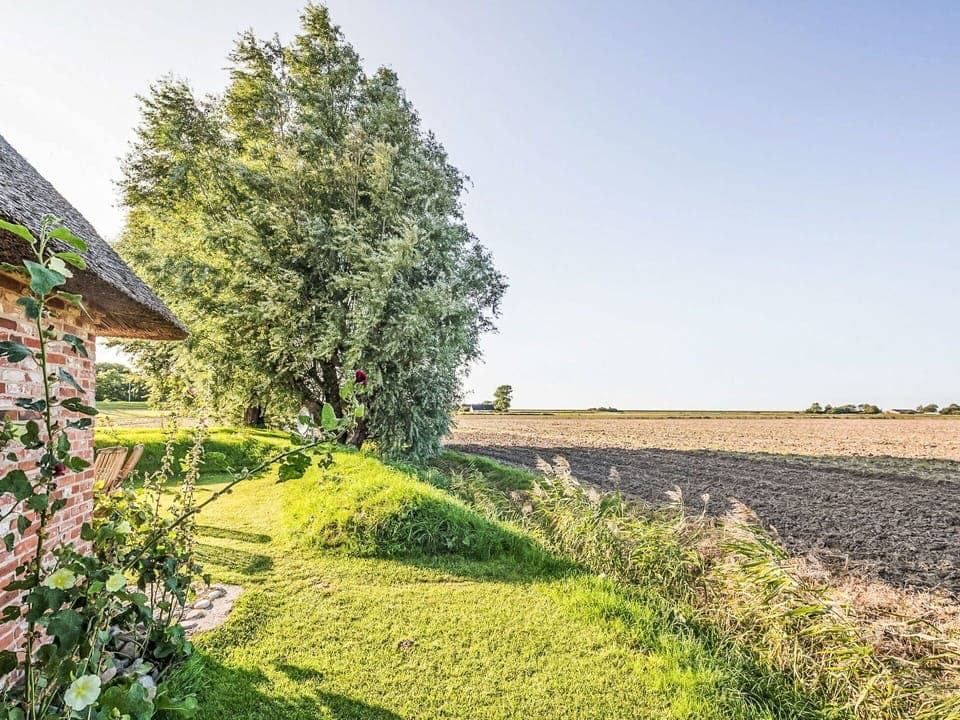 Green, Grass, Natural Landscape, Shrub, Grassland, Rural Area, Plain, Land Lot, Field