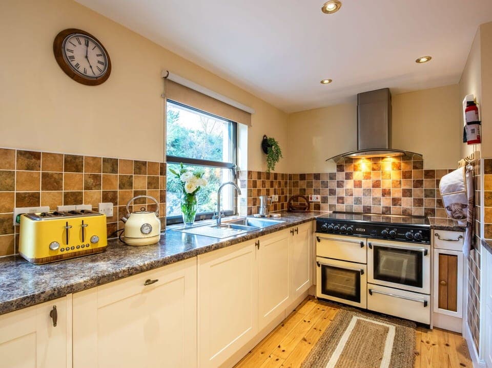 Kitchen Appliance, Kitchen, Countertop, Major Appliance, Interior Design, Flooring, Stove, Wood, Home Appliance, Cabinetry