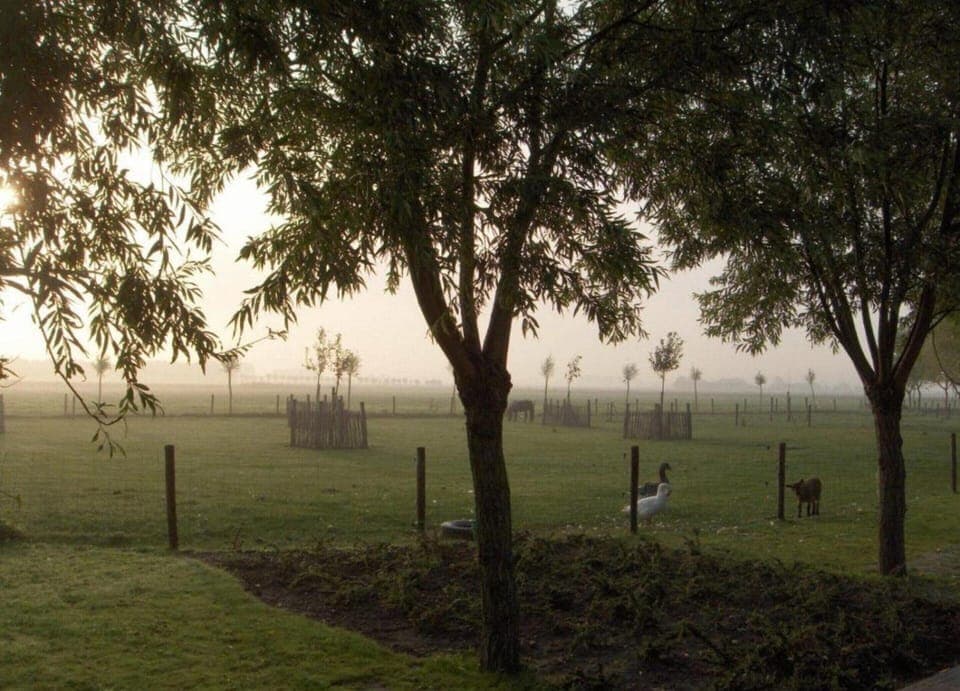 Apartment | View from property