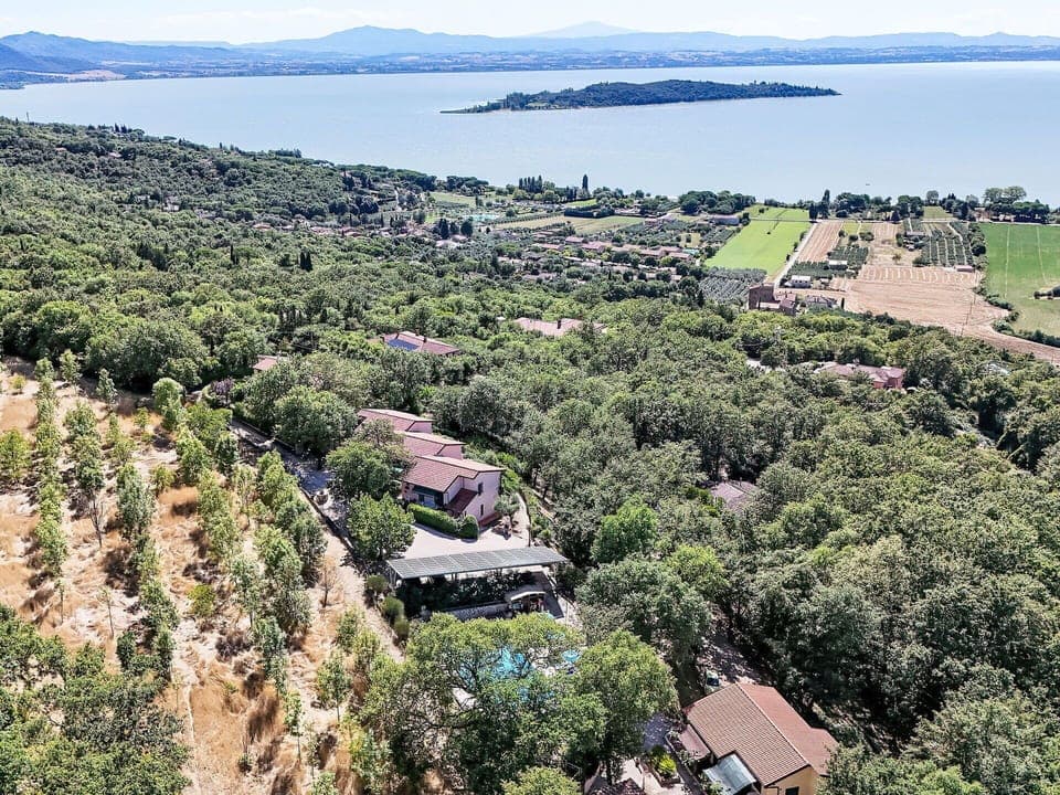 Tree, Vegetation, Landscape, Residential Area, Bird'S-Eye View, Land Lot, Plant Community, Rural Area, Aerial Photography, Estate