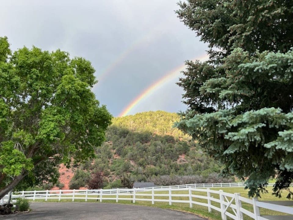 Driveway view