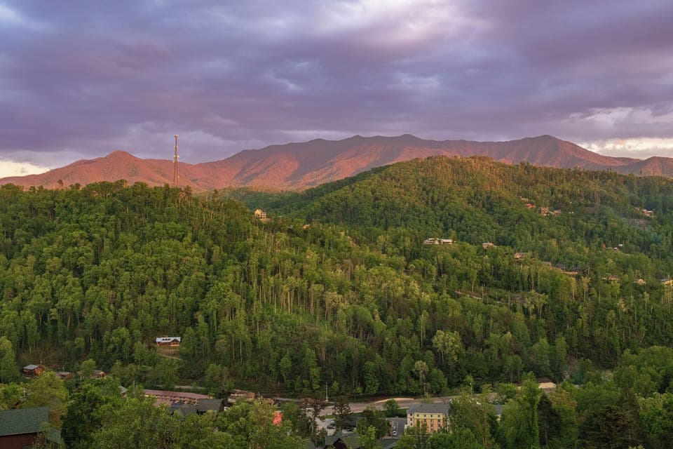 Gorgeous views of The Great Smoky Mountains!