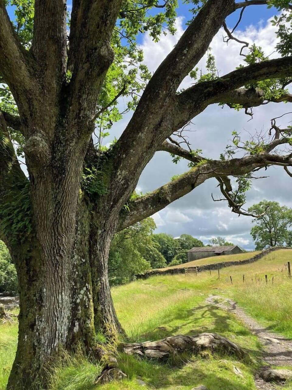 A6cff906 4c54 4e55 ac17 e275fe441841