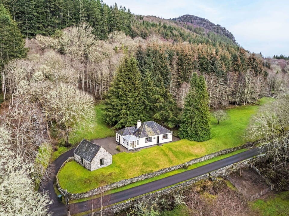 Furniture, Wood, Interior Design, Cabinetry, Kitchen, Flooring, Countertop, Cupboard, Room, Wood Stain