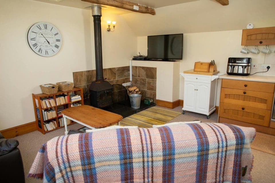 Living area with TV and wood burner