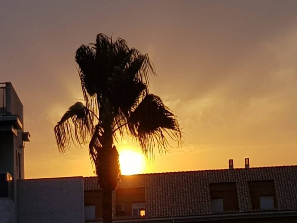 Region [summer] (>5 km)