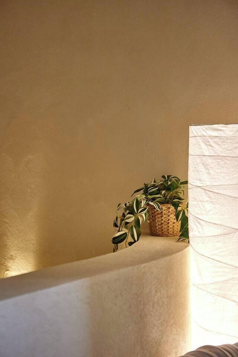 8e077b0a-a756-40b1-bd83-fc1ebb179c62