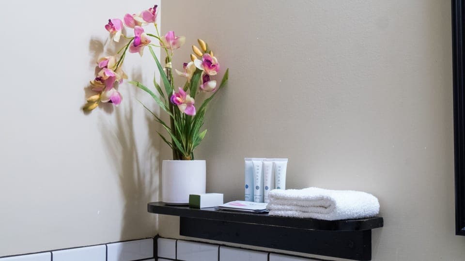 Shower, free toiletries, hair dryer, slippers