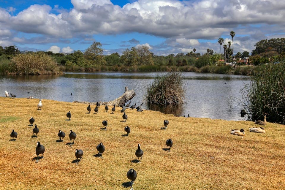 Just steps from Pacific Plaza Resort, the neighboring park offers green spaces, picnic areas, and a playground for relaxation and family fun.