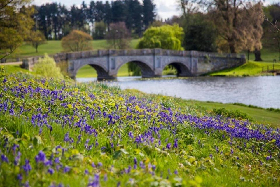 Region [summer] (>5 km)