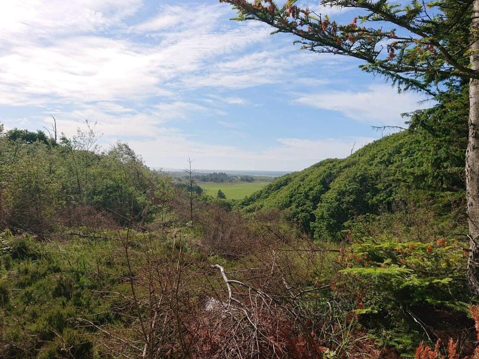 House | Miscellaneous