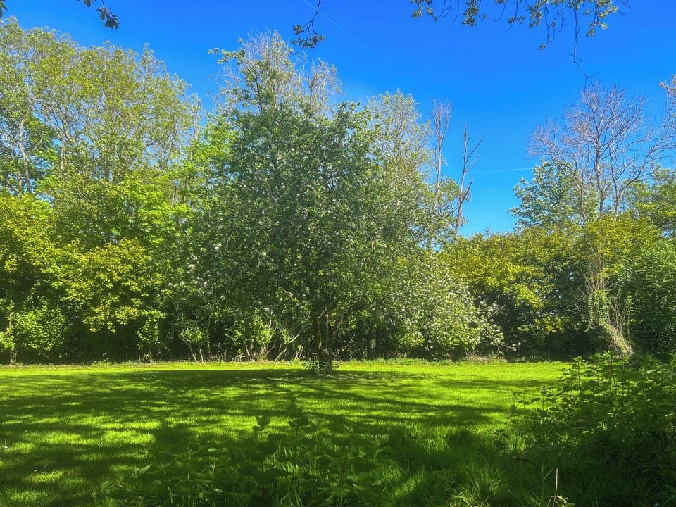 Exterior | Wade Hall, North Cove