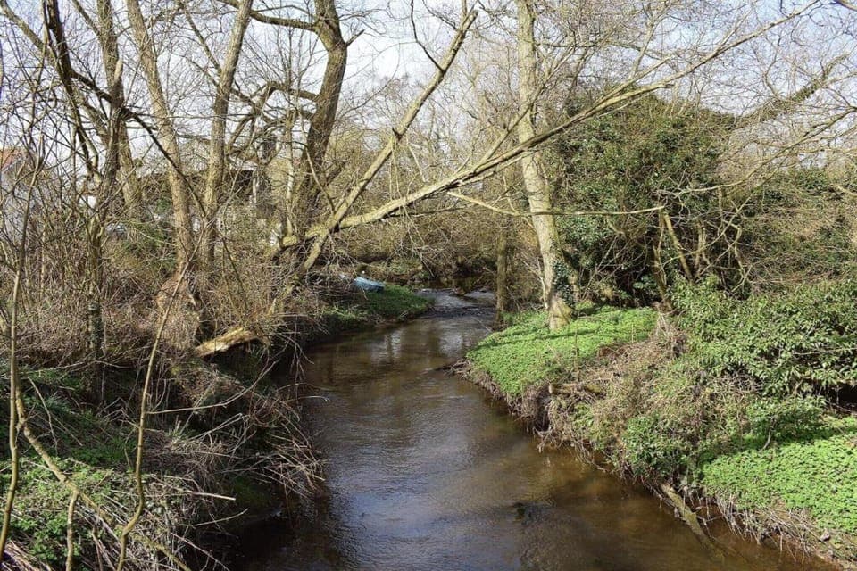 Surroundings [summer] (1-5 km)