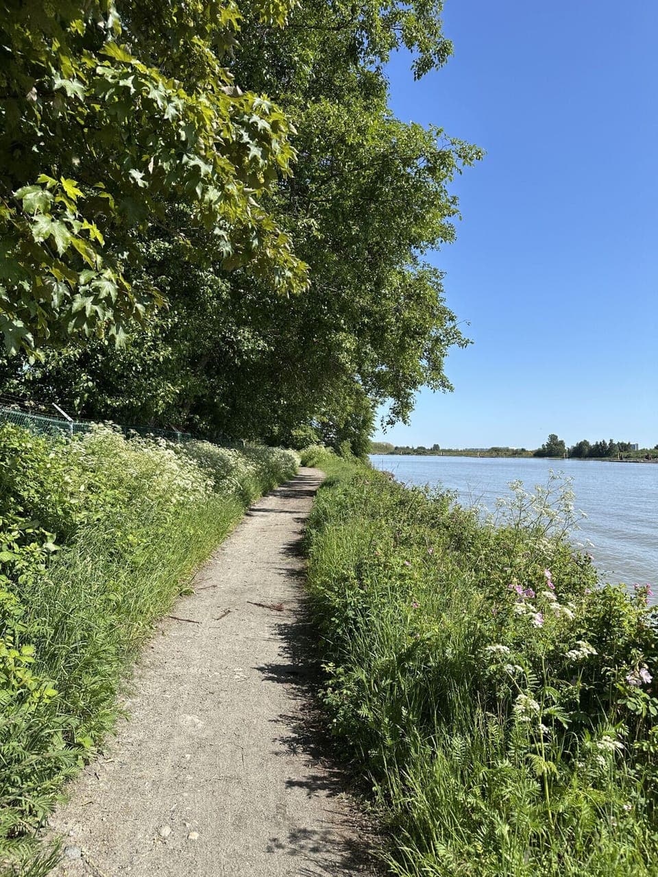 Walk, jog or cycle along the edge of the Fraser River, just 10 min away by foot