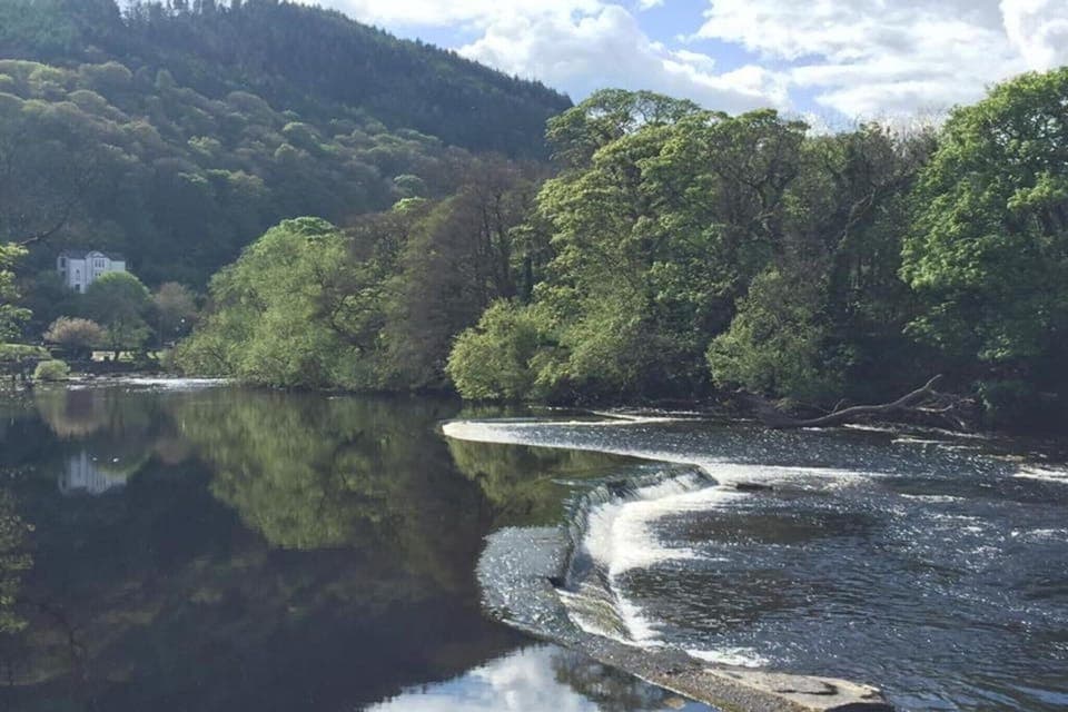 Region [summer] (>5 km)