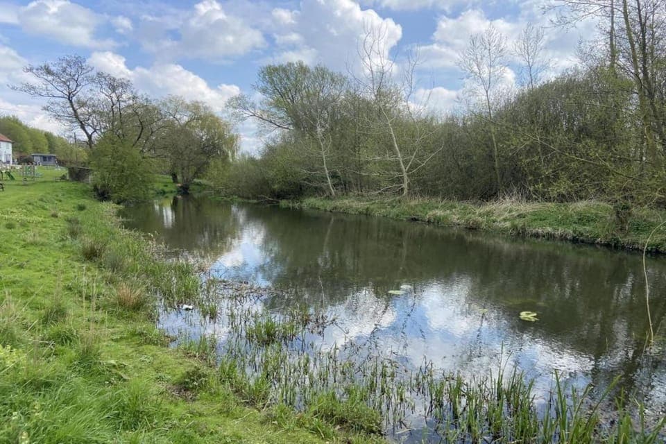 Region [summer] (>5 km)