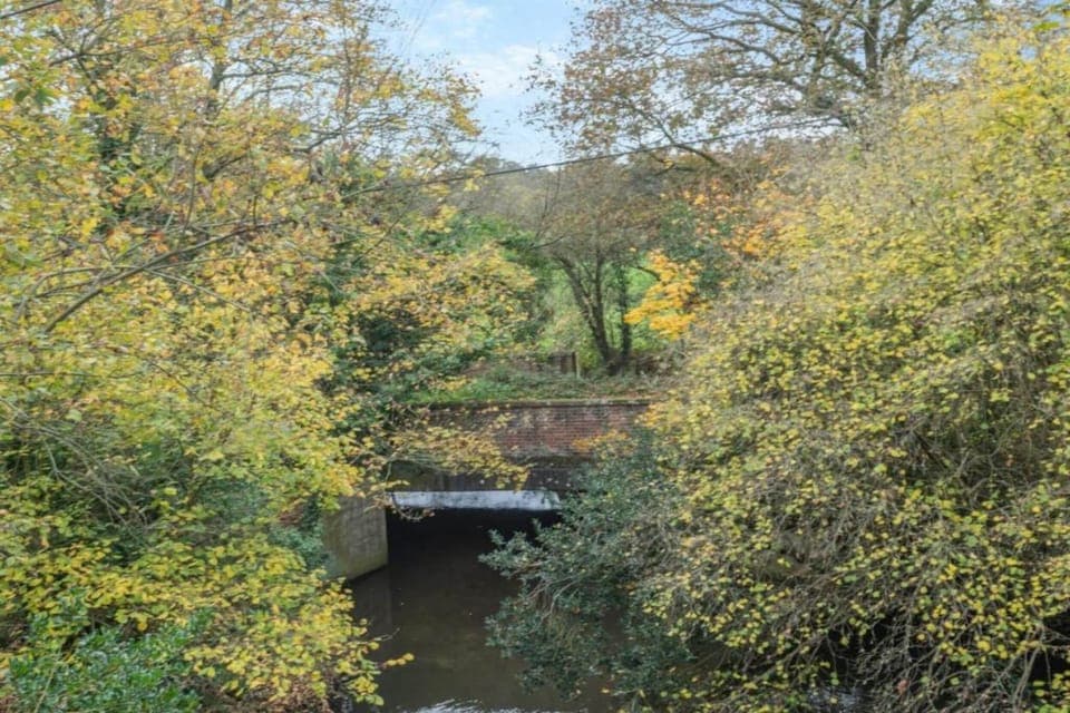 Region [summer] (>5 km)