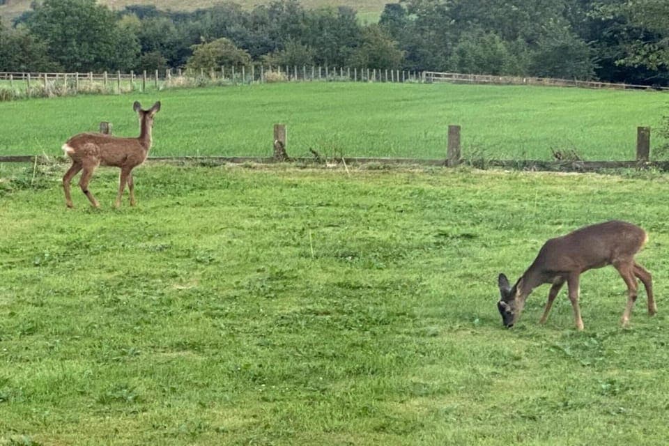 Surroundings [summer] (1-5 km)