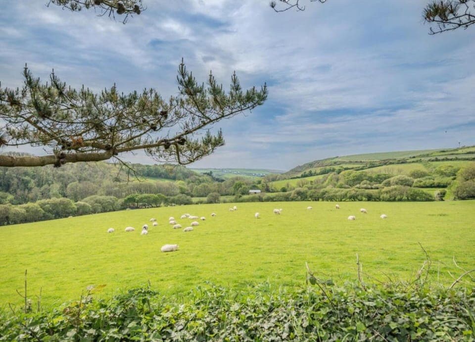 Cottage | View from property