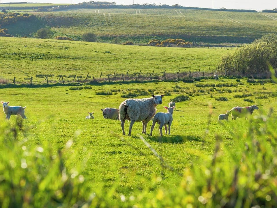 Surrounding area | Minffordd, Ty Croes, near Rhosneigr