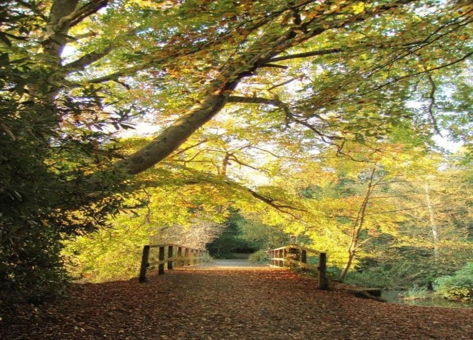 Cottage | View from property