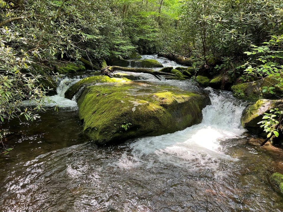 Enjoy a stroll through the National Park