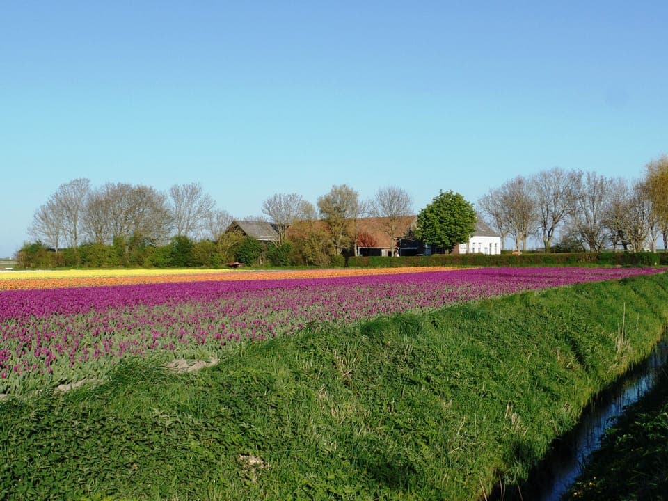vieuw - Camping Hofstede Zonnevliet - Zeeuwse Knoop