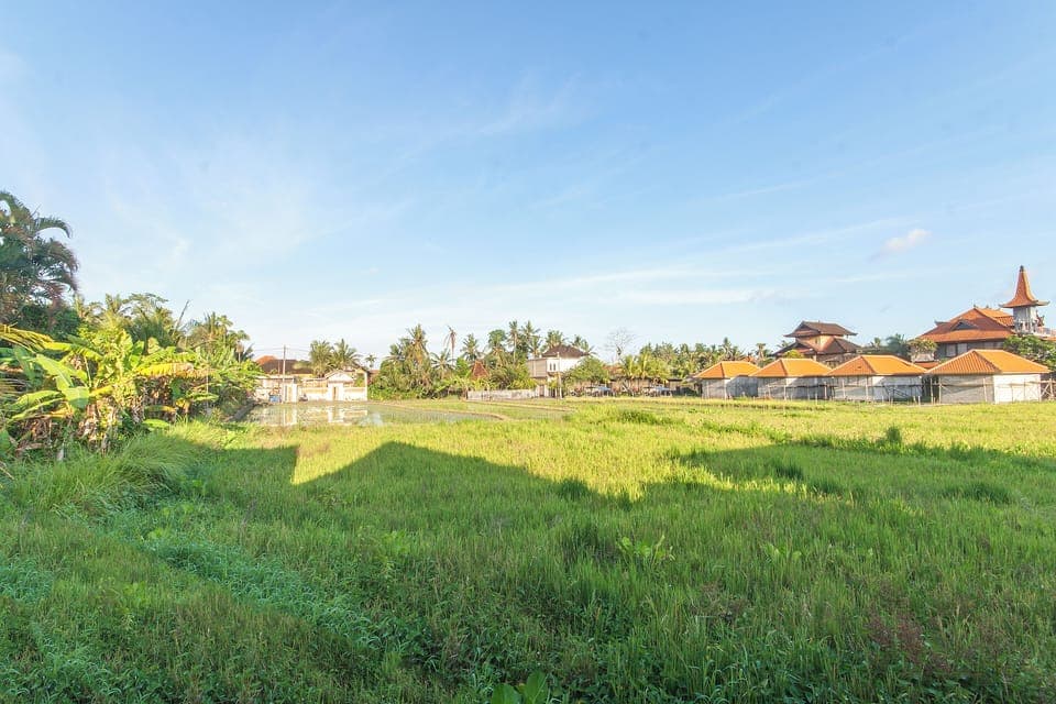 Land view from property