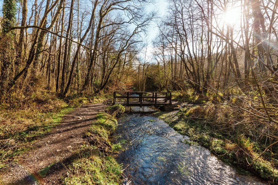 Otterford Lakes Local Nature Reserve is a 10 minute walk away