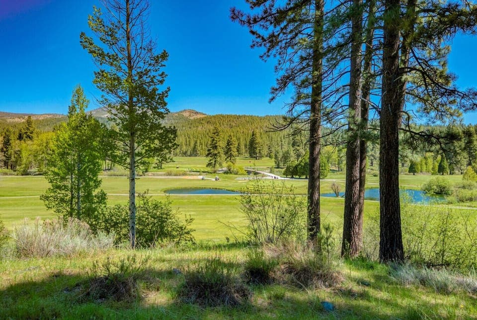 Can't beat these views!