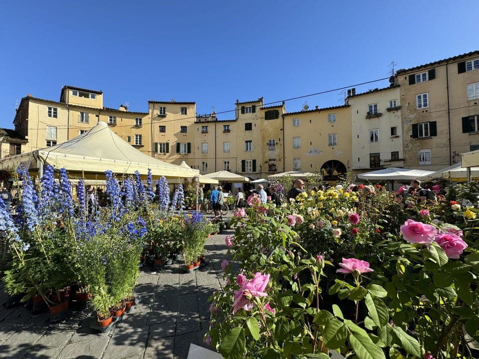 Town, Public Space, Mixed-Use, Umbrella, Tent, Town Square, Canopy, Vacation