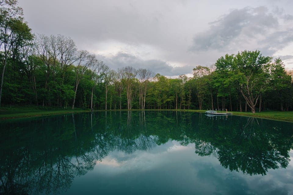 Take a relaxing stroll around the pond and soak up the nature around you!