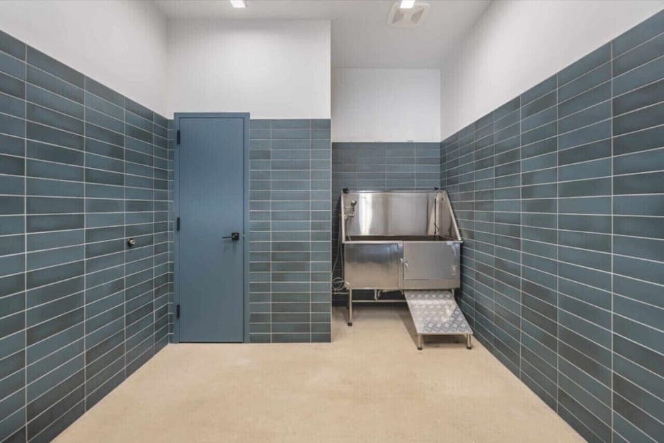 A comfortable pet area