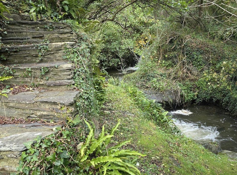 Garden with stone steps and small stream