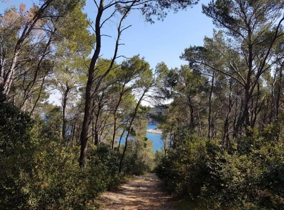 House (House B - 45 m from The Sea) | View from property