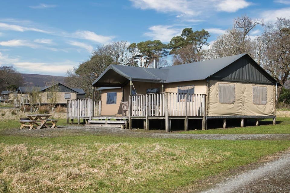 Lantern and Larks - Curlew