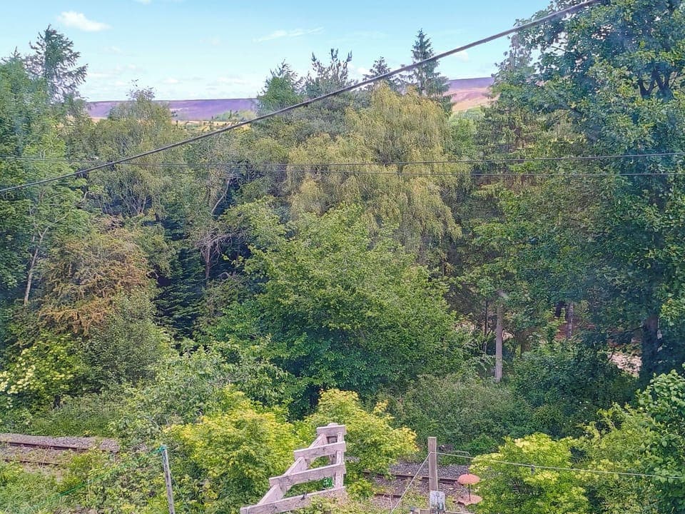 Surrounding area | Railway Cottage, Stanhope, near Bishop Auckland