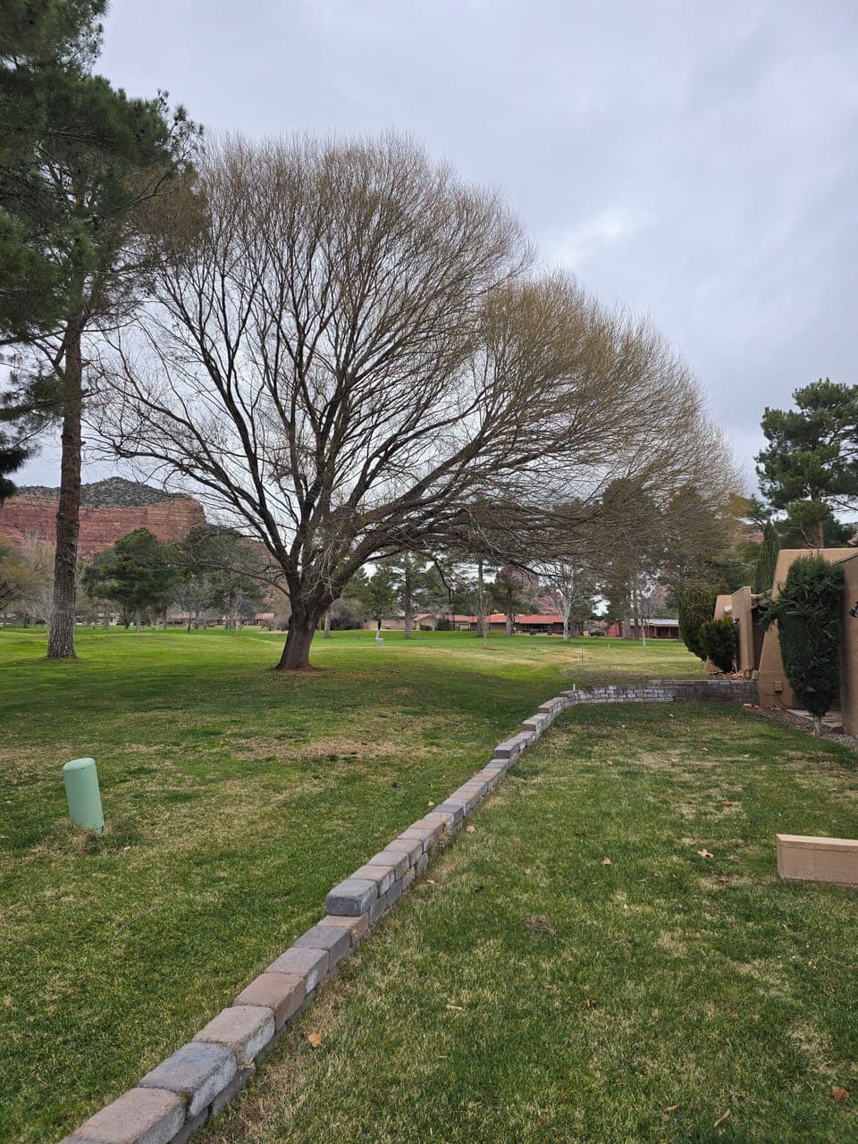 Property grounds