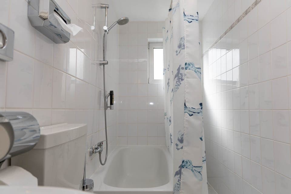 Basic Triple Room | In-room safe, desk, iron/ironing board, free WiFi