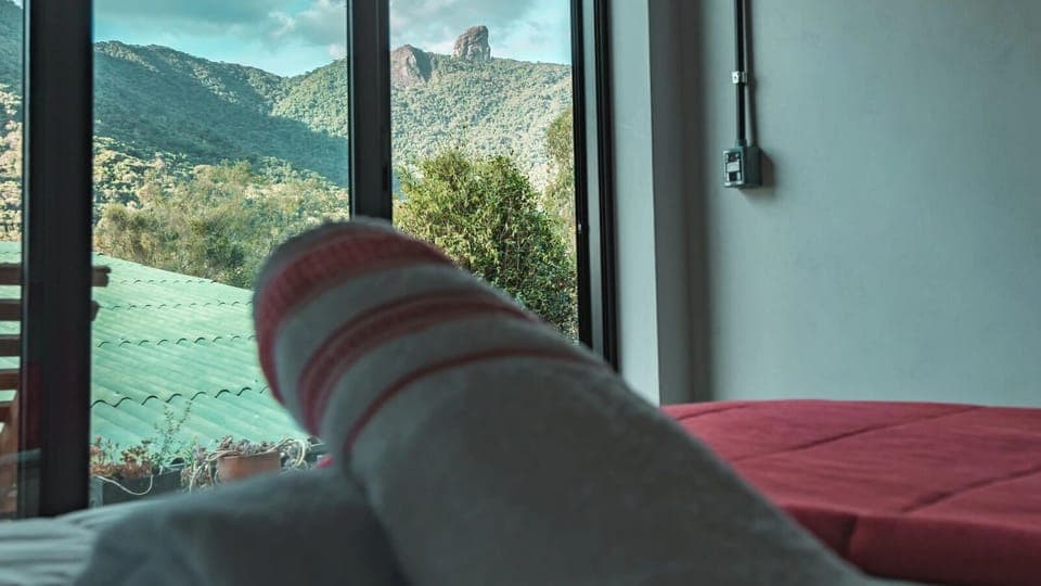 Suite, Mountain View | Free WiFi