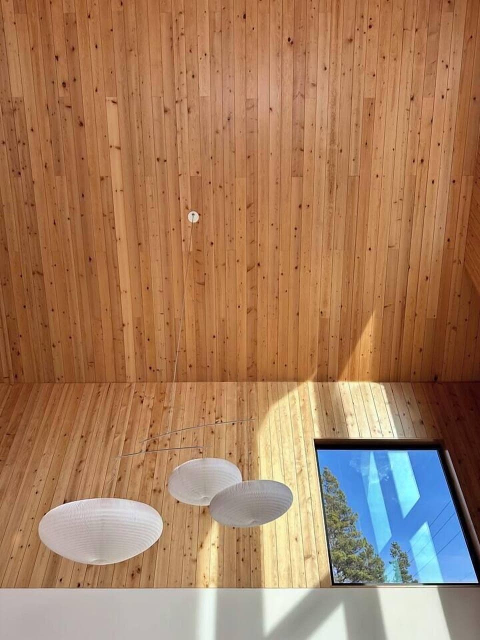 55f4fee6-29a7-428a-bc37-619a88d67908